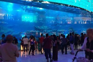 Natuurlijk staat het grootste aquarium ter wereld in de Dubai Mall.Natuurlijk staat het grootste aquarium ter wereld in de Dubai Mall.