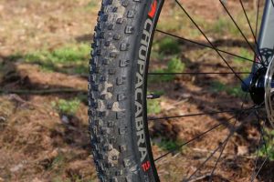 The Bontrager Chupacabra tires with their small profile are generally fine.
