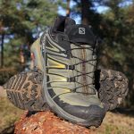 Salomon X Ultra 3 GTX Hiking Shoe in short