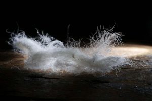 In the middle you see a line with wool and intwined down clusters and one feather.