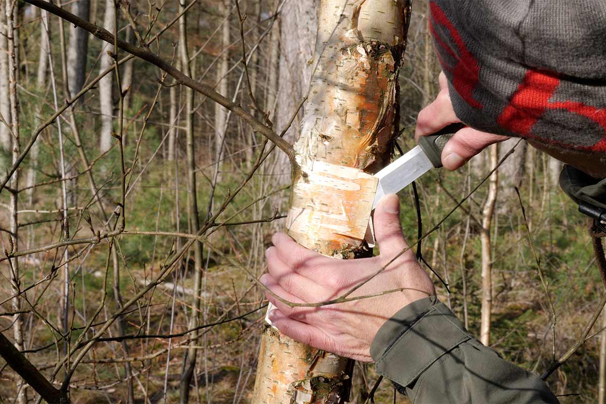 The Morakniv Kansbol has a thin point; super for skinning or peeling bark.