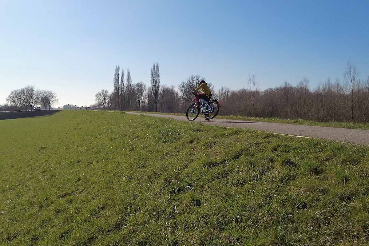 Run two with 35 km/h… the rear wheel came about 0.5 metre in the air.